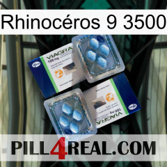 Rhinocéros 9 3500 viagra5